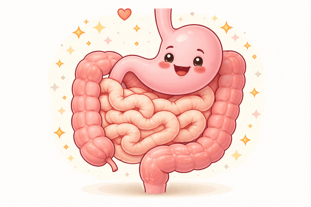 Système-digestif-heureux-mastication-et-digestion